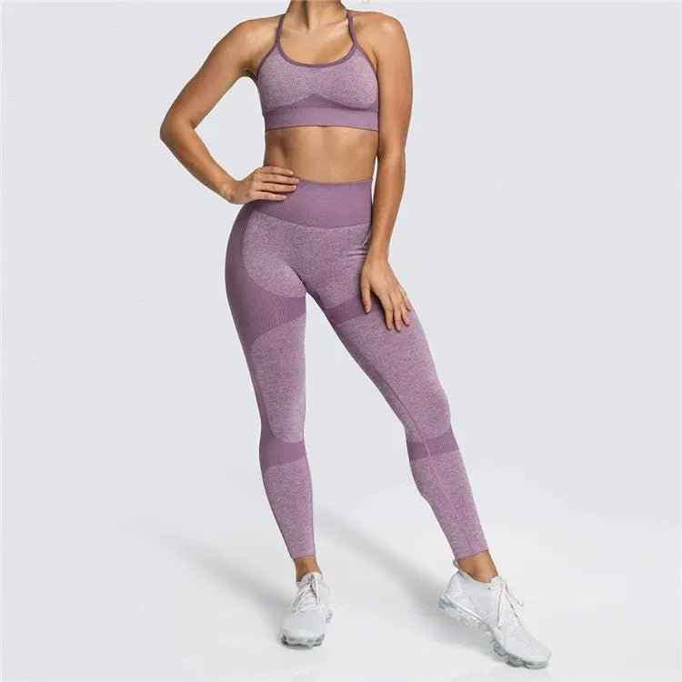 Seamless Sports Bra and High Waist Leggings Set for Women - Gym, Fitness, Running, Yoga (2 Piece Set)