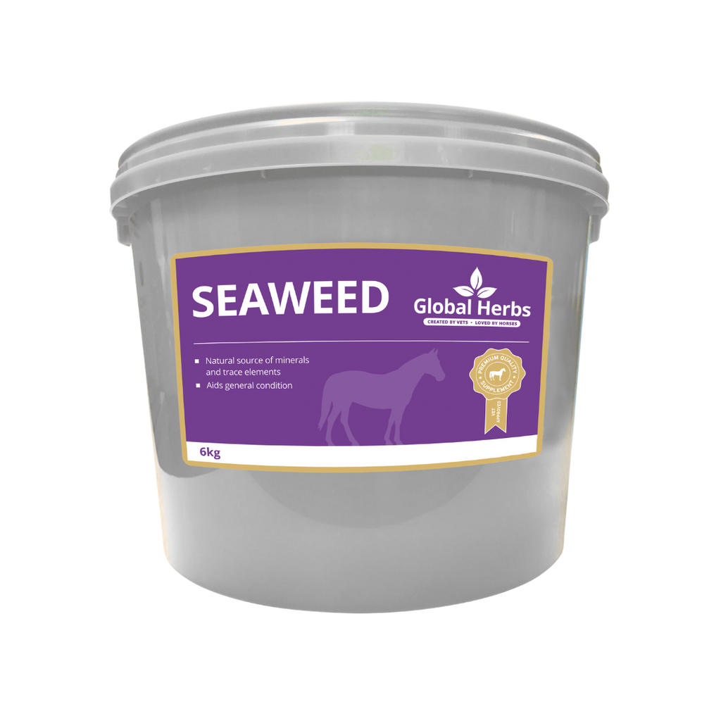 Seaweed - Global Herbs