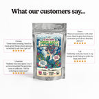 SuperMoss Sea Moss Gummies | Apple Flavour | 10 Gummies | Sea-Powered Energy, Immunity & Vitality