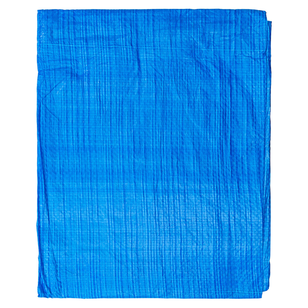 Blue S-Grade Tarpaulin 2m x 3m