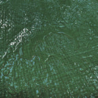 Green S-Grade Tarpaulin 2m x 3m