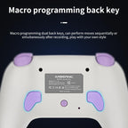 ANBERNIC RGP01 Multi-Platform Gaming Controller for PC/Switch/Steam With Hall Effect Joystick & Triggers, 3-Mode Connectivity, RGB, White, Black, Purple, With Receiver White, With Receiver Black, With Receiver Purple