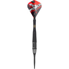 Target Phil Taylor Raw Power G11 95% SP