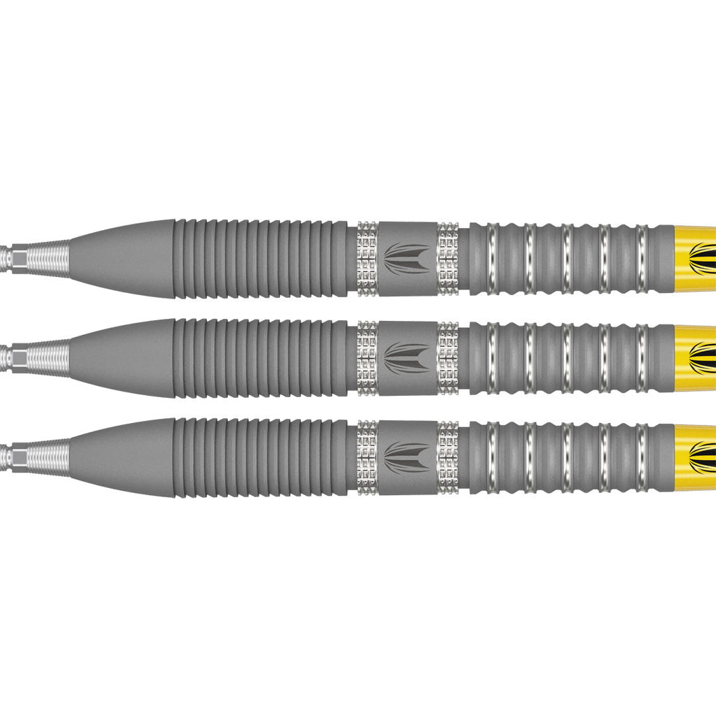 Target Gabriel Clemens G2 90% SP Darts