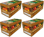 4 x Knorr Soup 100% Chicken And Vegetable 2.5L