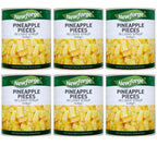 6 x Newforge Pineapple Slices In Light Syrup 3.05Kg