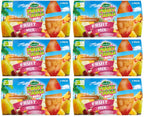 6 x Sunny South Fruit Pots - Fruit Mix In Fruit Juice