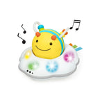 Skip Hop Explore & More Follow-Bee Crawl Toy