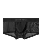 2-Pack Men's Breathable Mesh Ice Silk U-convex Low Waist Boxer Briefs
