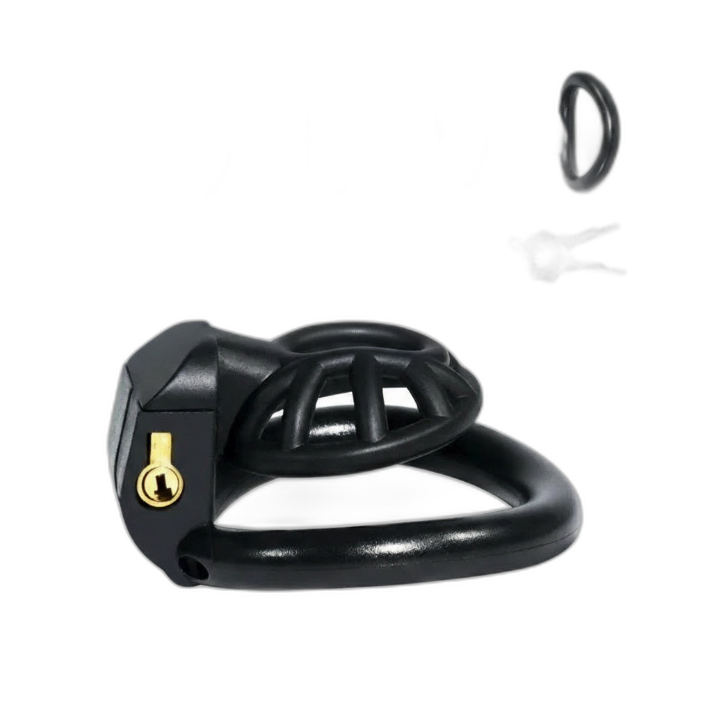 PushTech Chastity Cage With 4 Ring Sizes