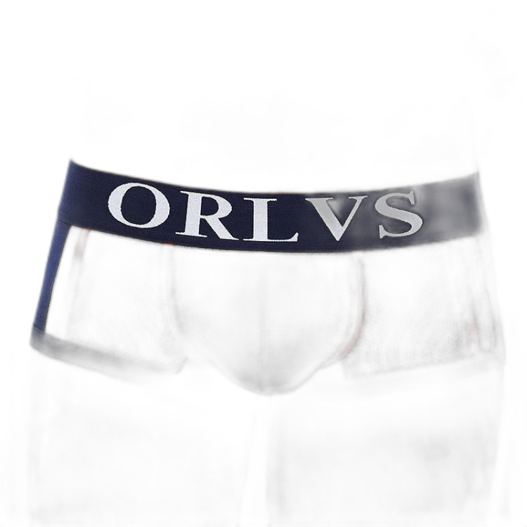 ORLVS Mesh Pocket Boxers