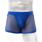 AllureFit Sexy Mesh Boxers Briefs