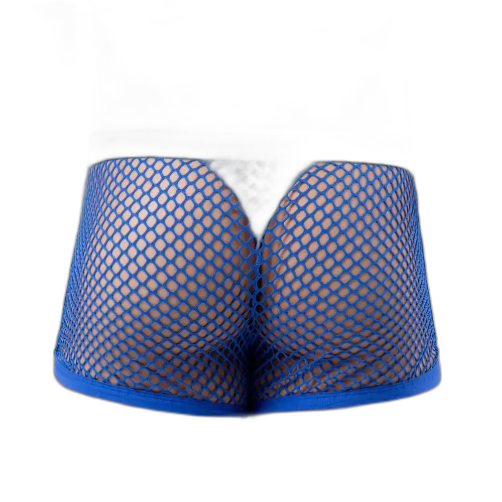 AllureFit Sexy Mesh Boxers Briefs