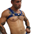 Breedwell Daddys Favourite Bulldog Harness Blue