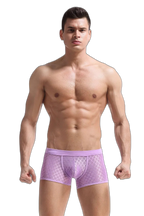 Transparent Mesh Boxers