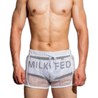 Loose Fit Sexy Mesh Boxers