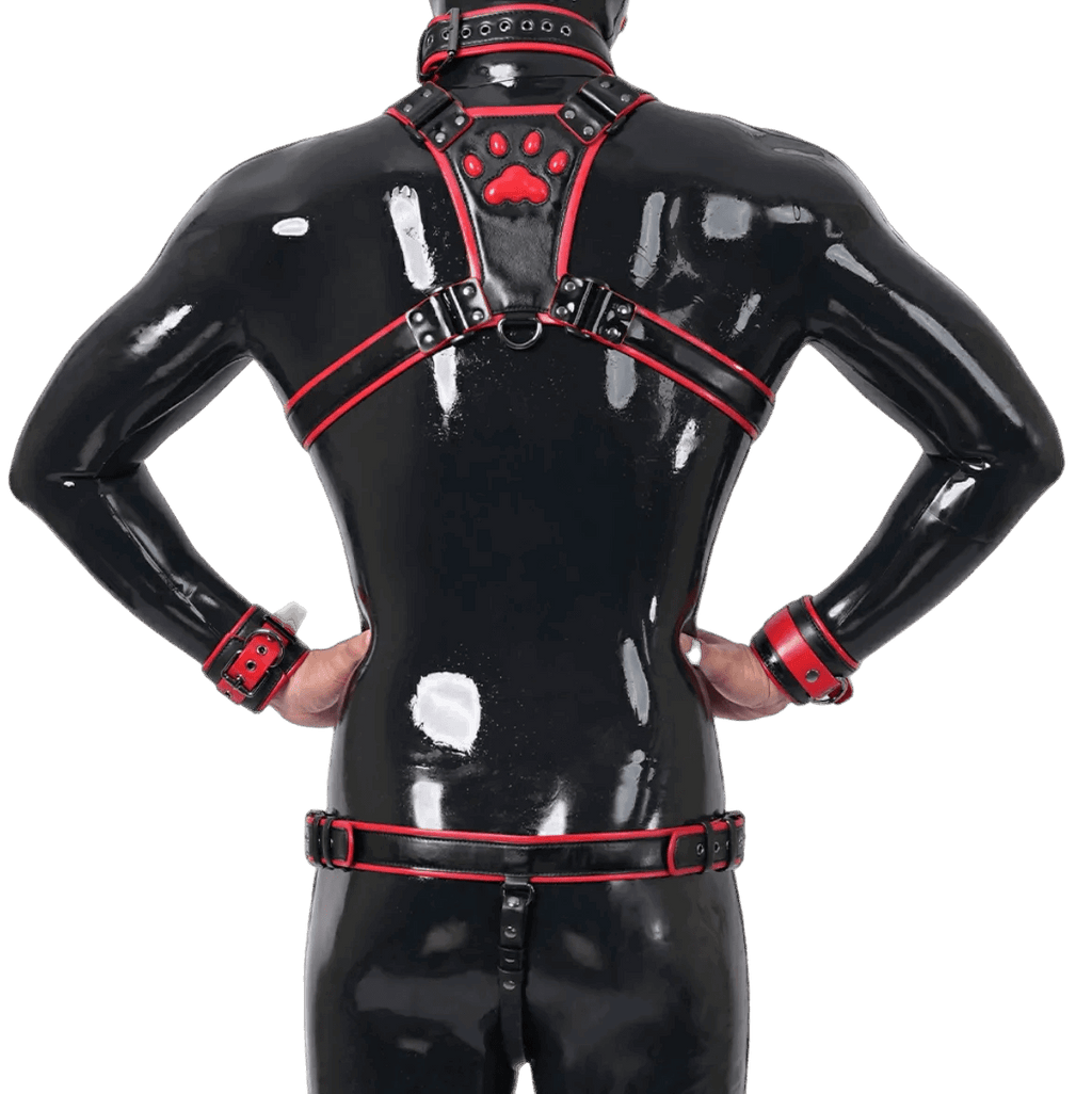 Furrjoi Harness, Cuff, Collar, Lead Underwear Bundle Red