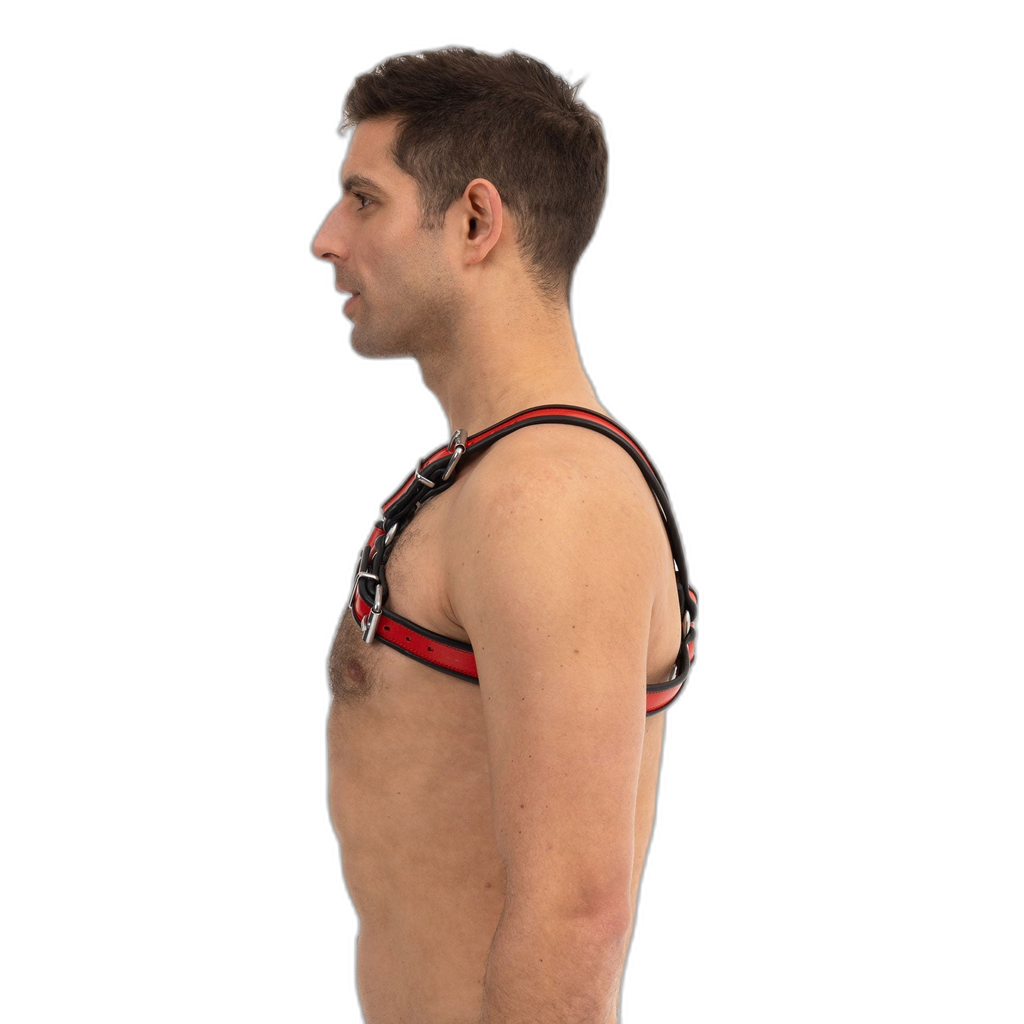 Prowler RED Leather Bull Harness Black Red