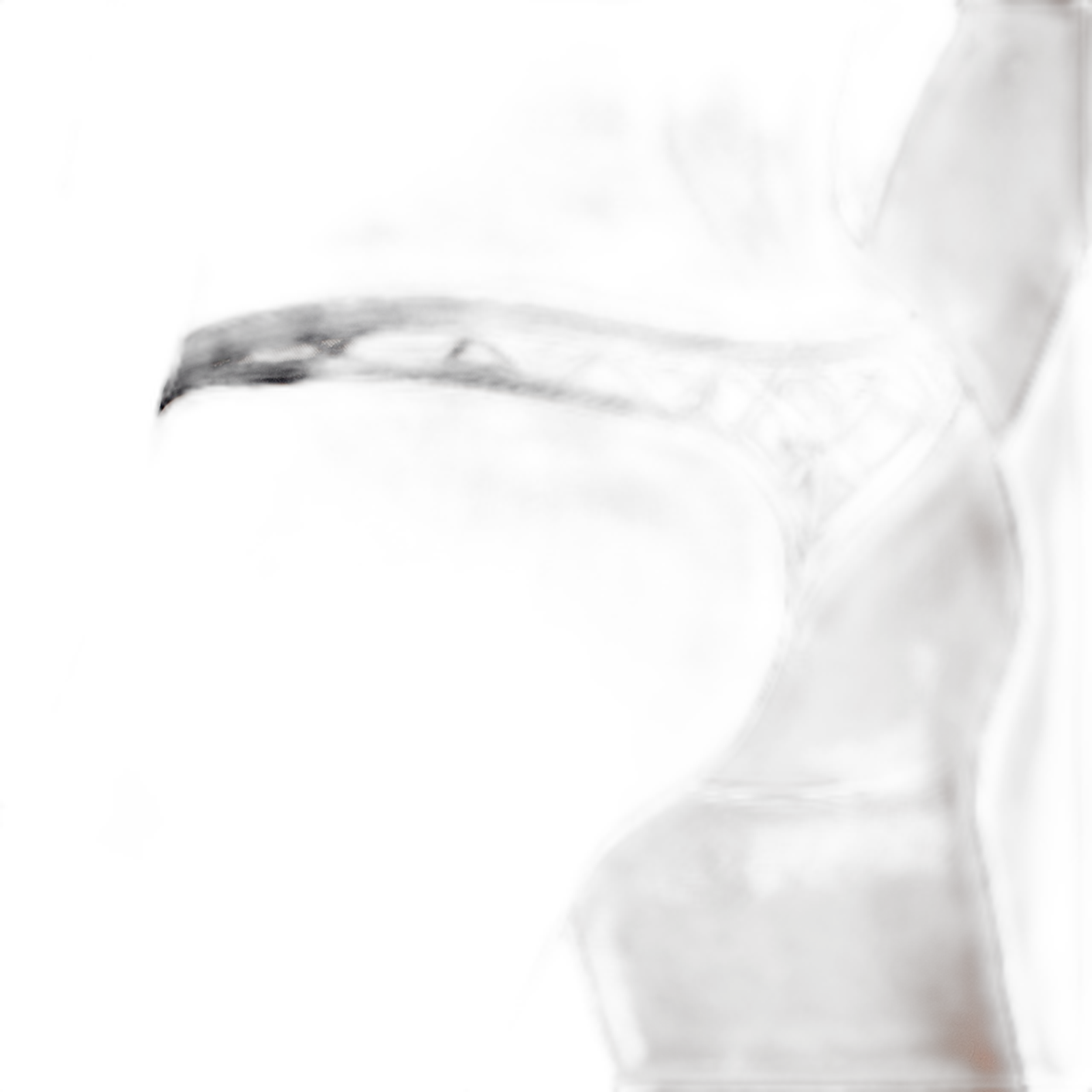 Sheer Lattice Mesh Thong