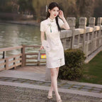 Delicate And Exquisite Lace Cheongsam Youthful-style Dress