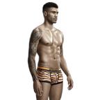 Seobean Tiger Boxers