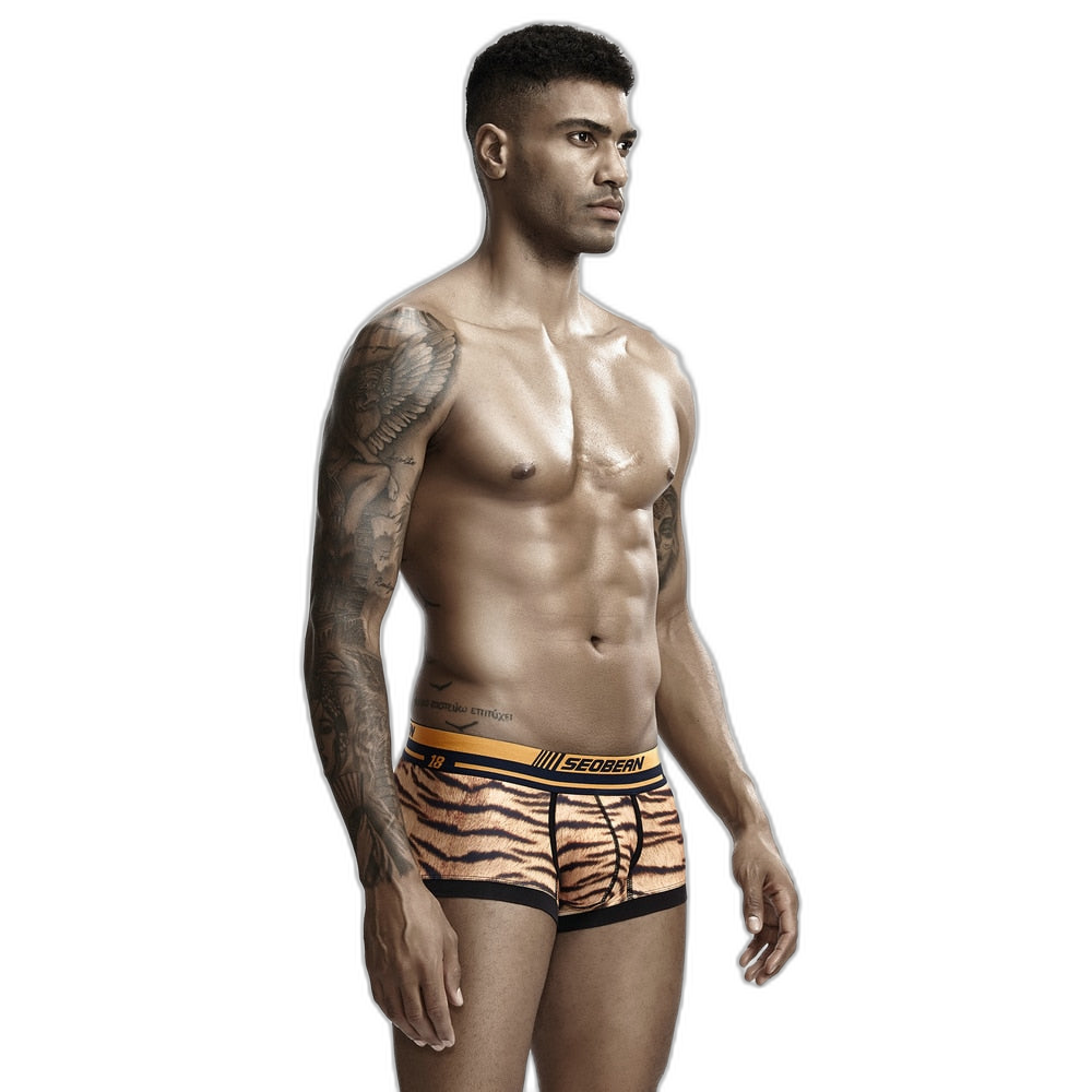 Seobean Tiger Boxers