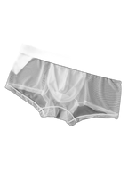 2-Pack Men's Breathable Mesh Ice Silk U-convex Low Waist Boxer Briefs