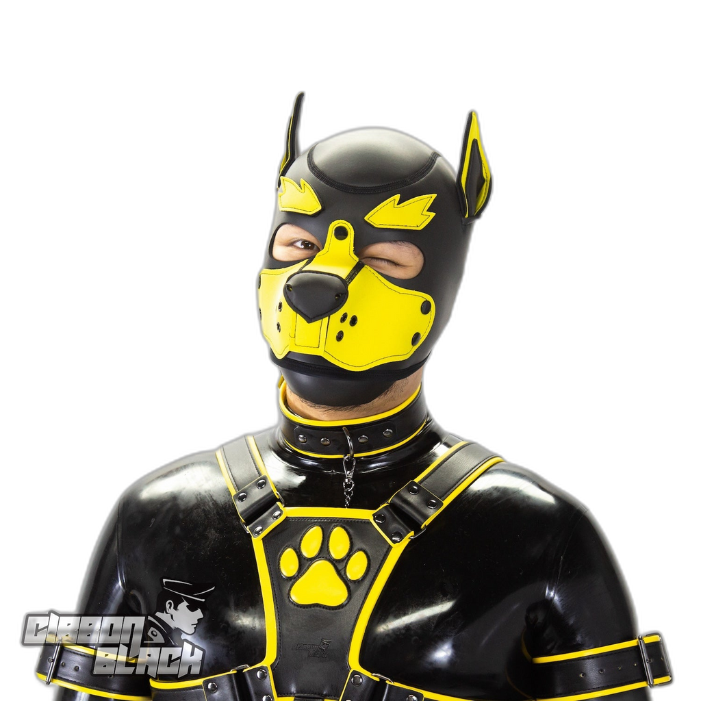 Standard Neoprene Pup Hood