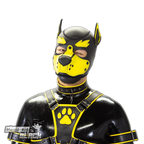 Standard Neoprene Pup Hood