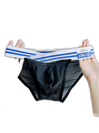 2-pack Men's Sexy Semi-transparent Mesh Briefs