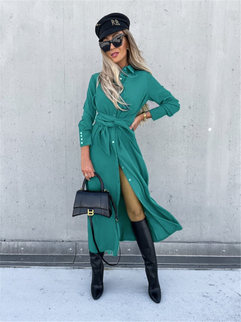 Women's Clothing Autumn And Winter Color Cardigan Long Sleeve Big Hem Dress