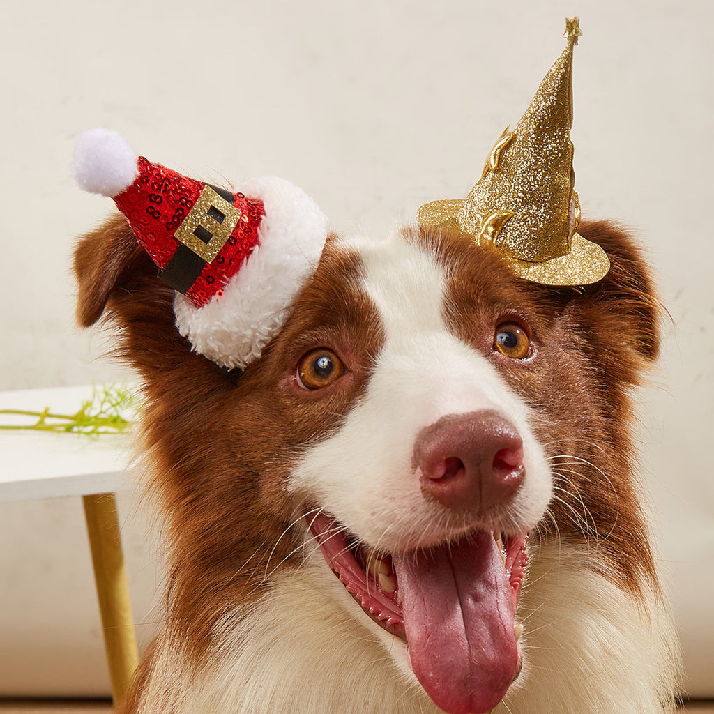 Halloween Hairpin Christmas Hat Witch Hat Dog Headdress Hat