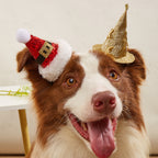 Halloween Hairpin Christmas Hat Witch Hat Dog Headdress Hat