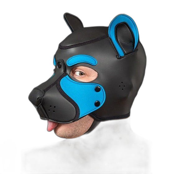 Mr S Leather NEOPRENE FRISKY Puppy Hood | Black & Aqua
