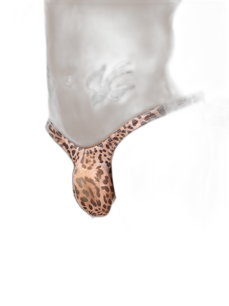 4 Pack Leopard Print See-through Mesh Thongs