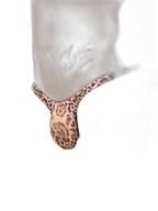 4 Pack Leopard Print See-through Mesh Thongs