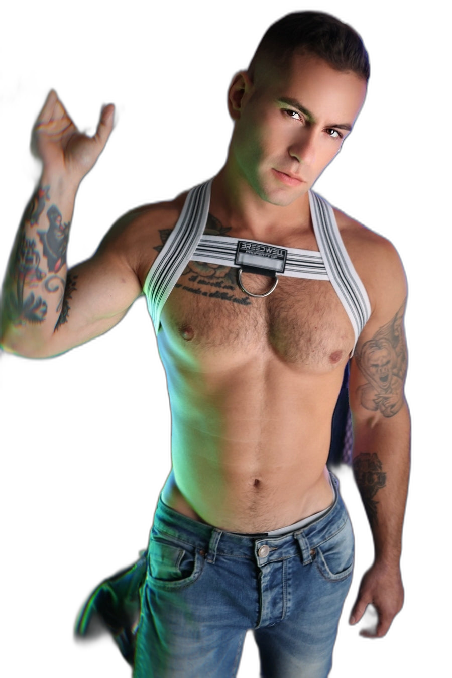 Breedwell Cumdump Bulldog Harness White