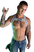 Breedwell Cumdump Bulldog Harness White