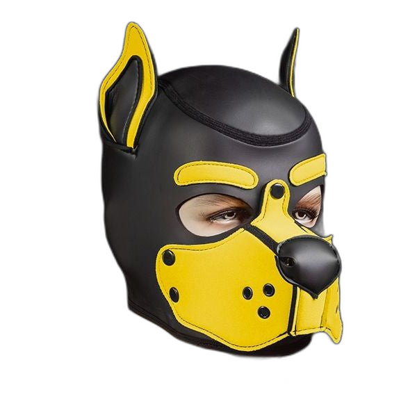 Mr S Leather Neoprene K9 Puppy Hood | Black/Yellow