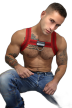 Breedwell Cumdump Bulldog Harness Red
