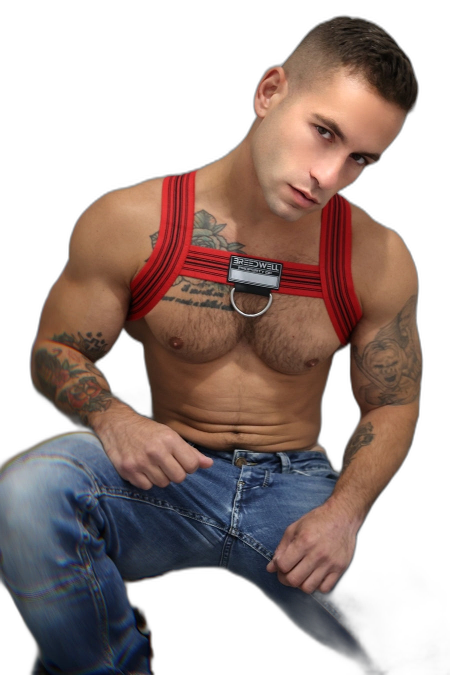 Breedwell Cumdump Bulldog Harness Red