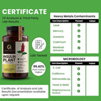 Afiyah Organic Costus Igneus Capsules – Premium Insulin Plant (240 Veggie Capsules)