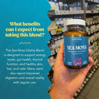 Akasha Superfoods Sea Moss Capsules – Organic Irish Moss with Bladderwrack, Burdock & BioPerine | Vegan, Gluten Free, 60 Count
