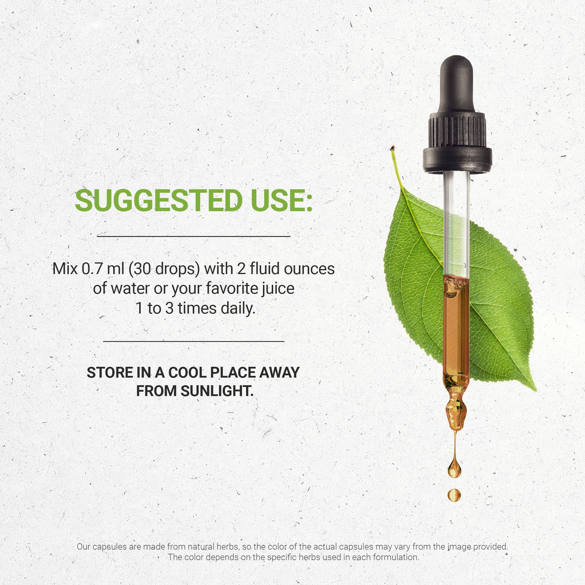 Secrets of the Tribe Periwinkle USDA Organic | Alcohol-Free Extract, High-Potency Herbal Drops | Made from 100% Certified Organic Periwinkle (Vinca Major) Dried Herb (4 oz)