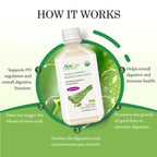 AloeCure USDA Organic Aloe Vera Juice – Grape Flavor, 16.7oz x 2 Bottles | Digestive & Immune Support