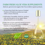 AloeCure USDA Organic Aloe Vera Juice – Grape Flavor, 16.7oz x 2 Bottles | Digestive & Immune Support