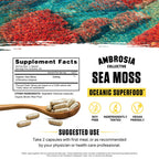 Ambrosia Irish Sea Moss Capsules – 500 mg High Dose | Organic Sea Moss Veggie