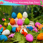 AMENON 30-Pack Dinosaur Egg Hatching Valentines Cards – Classroom Gifts & Party Favors for Kids