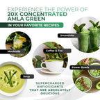 Amla Green: 20x Concentrated Amla Powder + Decaf Green Tea | Organic, Vegan, 90 Servings