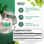 Amla Green: 20x Concentrated Amla Powder + Decaf Green Tea | Organic, Vegan, 90 Servings